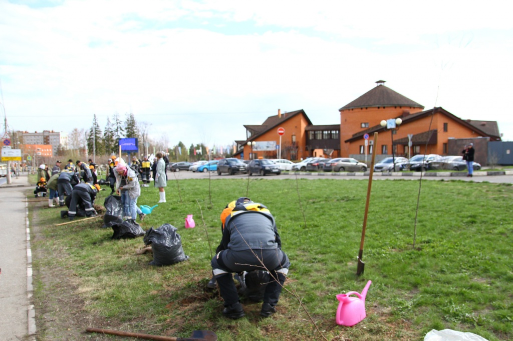 ������� ��������CAMC8094.jpg